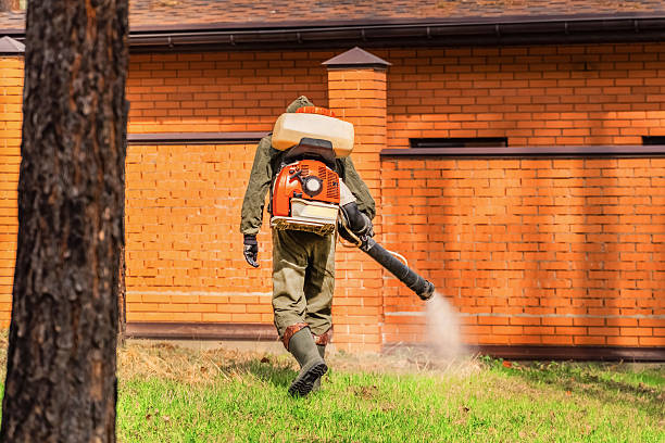 Bed Bug Clearance Verification and Documentation in Lehigh Acres